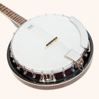 Heartland 4 String Banjo 19 Frets Irish Tenor Banjo Left Handed 24 Bracket With Closed Solid Back