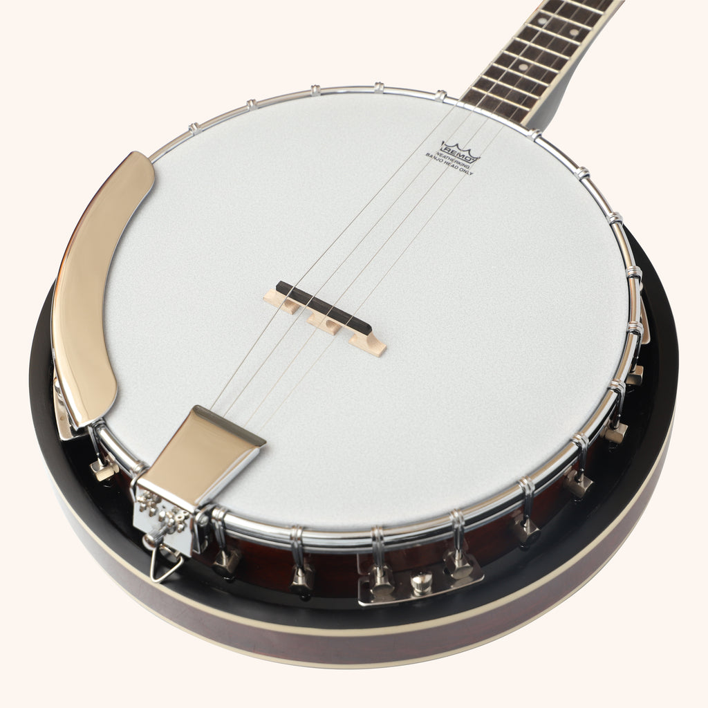 Heartland 4 String Banjo Closed Solid Back 17 Fret, 4 String Irish Tenor Banjo Short scale
