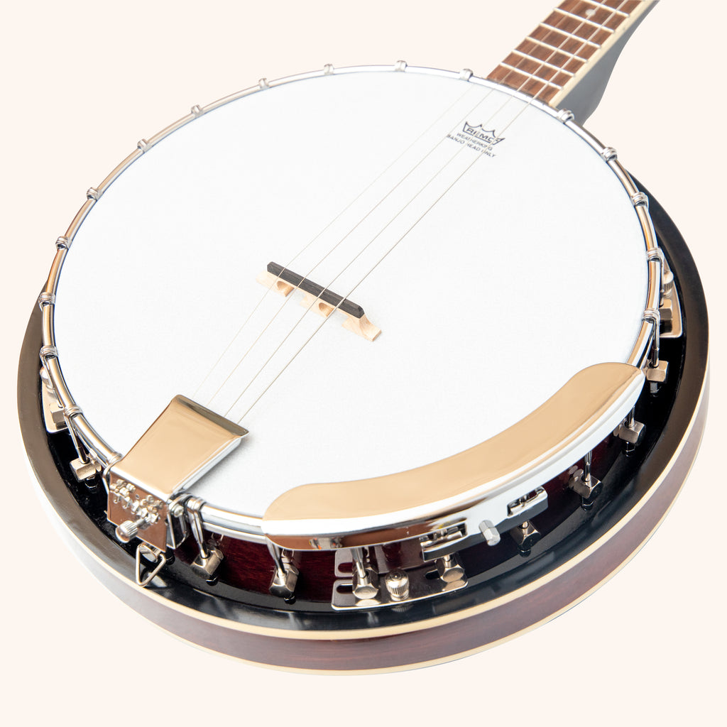Heartland 4 String Banjo 19 Frets Irish Tenor Banjo Left Handed 24 Bracket With Closed Solid Back