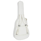 Heartland Weissenborn guitar The Session Master