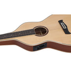 Heartland Weissenborn guitar The Session Master