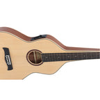 Heartland Weissenborn guitar The Session Master