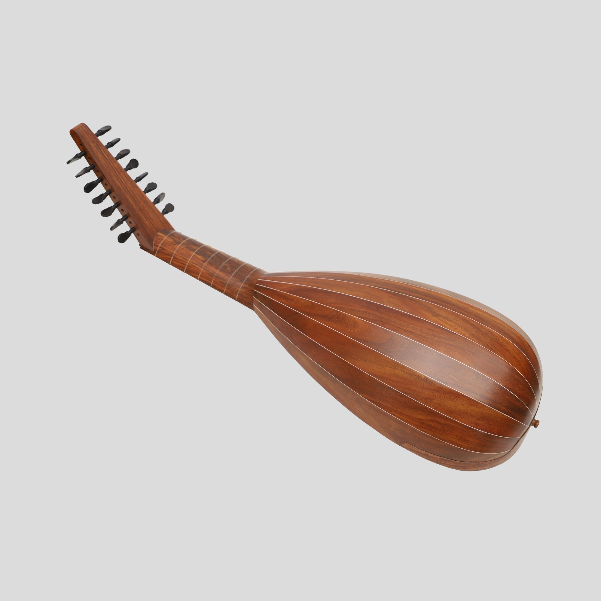 Muzikkon Travel Lute 8 Course Right Hand