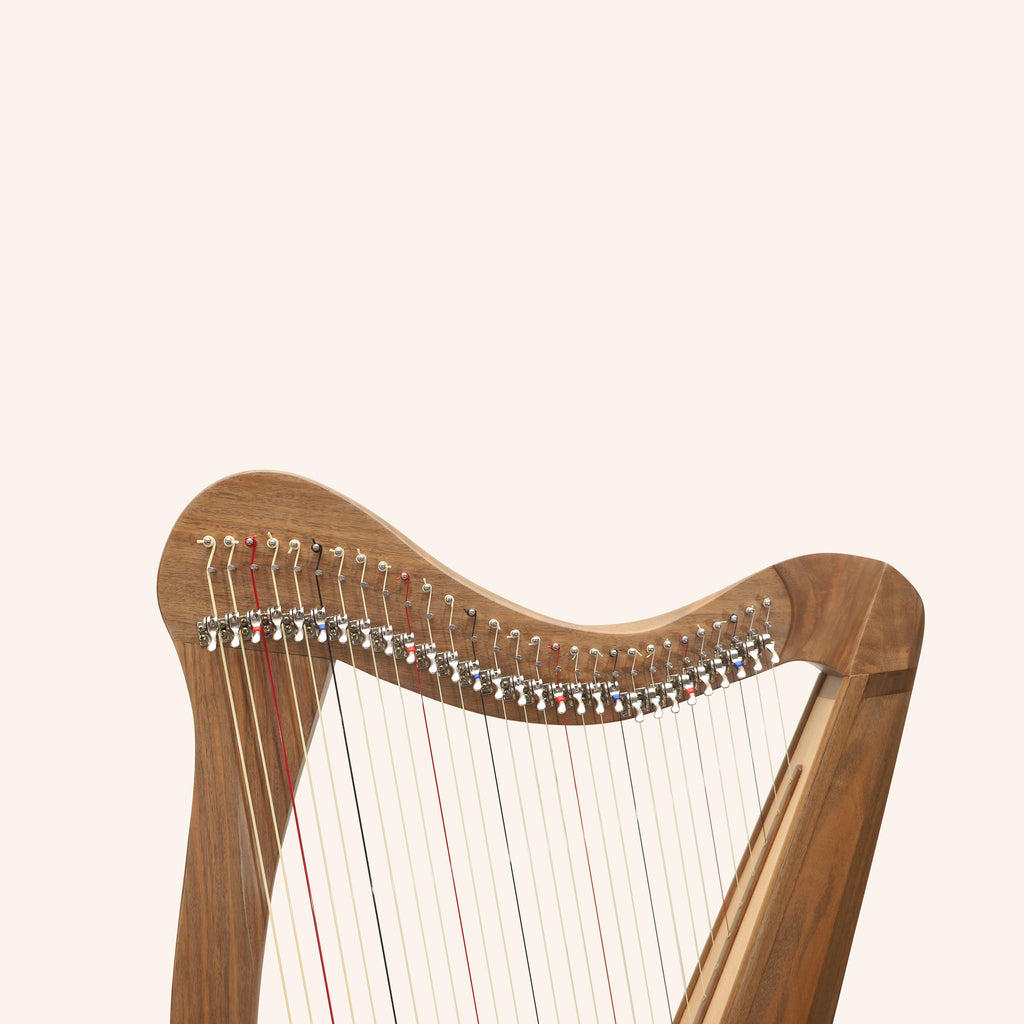 29 String Ard Ri Harp, Celtic Harp