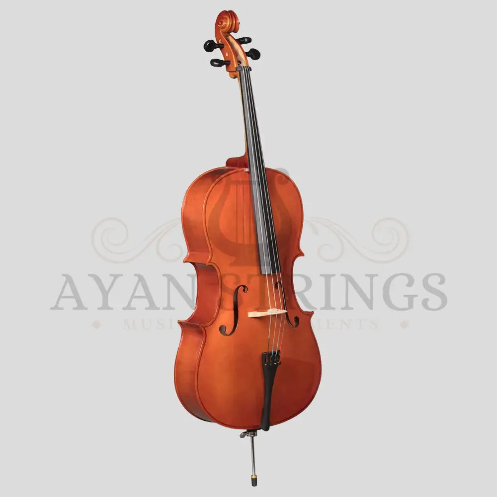 Acoustic Cellos Solid Maple 4-4 - Stringed Instruments
