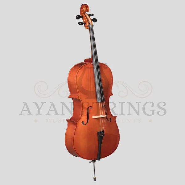 Acoustic Cellos Solid Maple 4-4 - Stringed Instruments