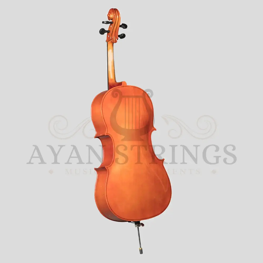 Acoustic Cellos Solid Maple 4-4 - Stringed Instruments