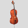 Violoncel acustic arțar masiv 1-2