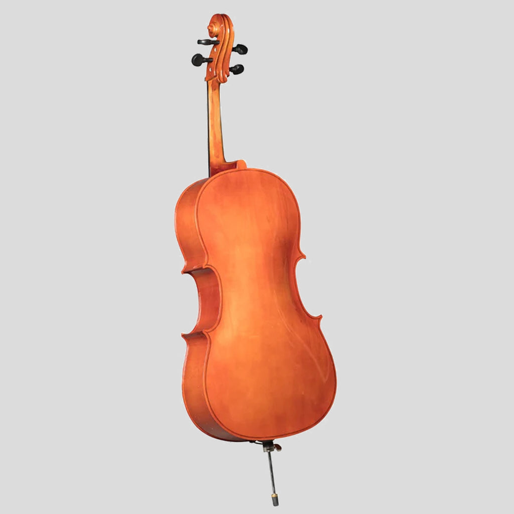Violoncel acustic arțar masiv 1-2