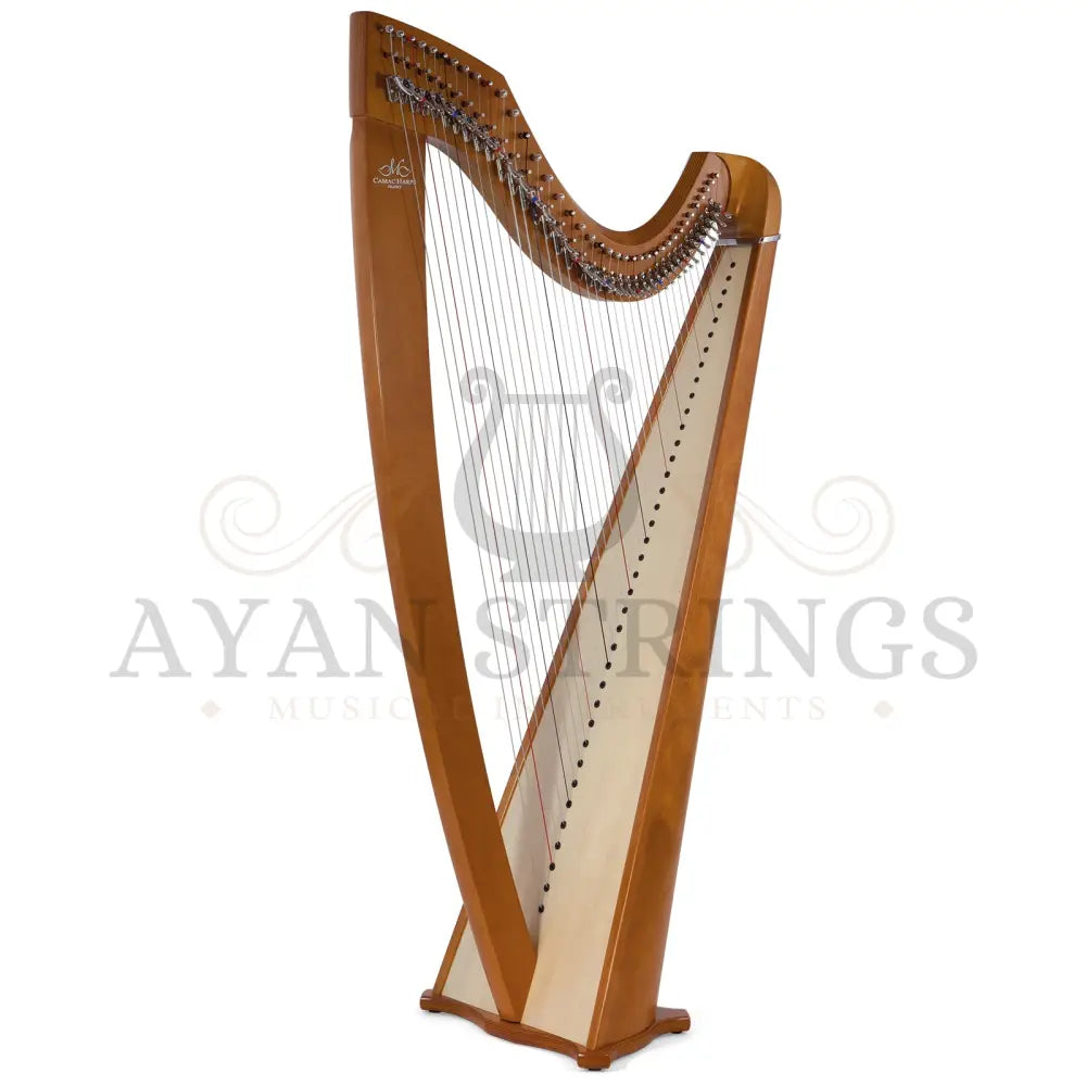 Camac Classical Isolde 38 Fluorocarbon Strings In Cherry