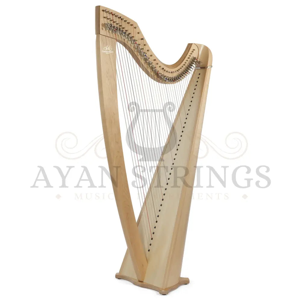Camac Classical Isolde 38 Fluorocarbon Strings In Maple