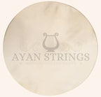Frame Drum 16 inch Non Tunable Mulberry | Shaman Drum