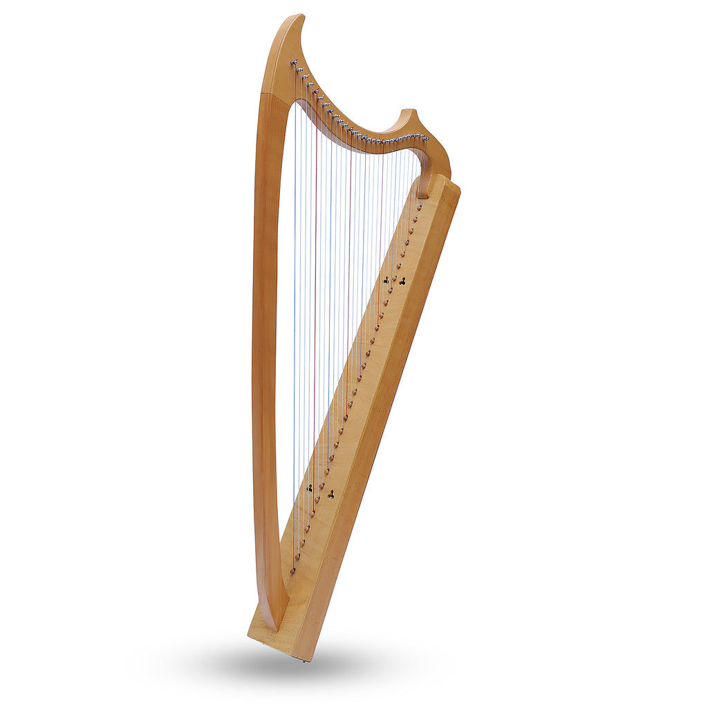 29 String Gothic Harp