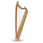 29 String Gothic Harp