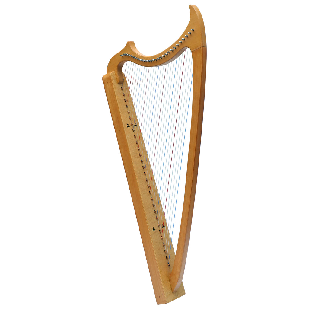 29 String Gothic Harp