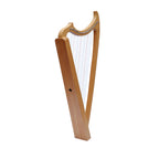 29 String Gothic Harp