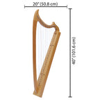 29 String Gothic Harp