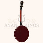 Heartland 4 String Banjo 19 Frets Irish Tenor Banjo 24 Bracket with Closed Solid Back