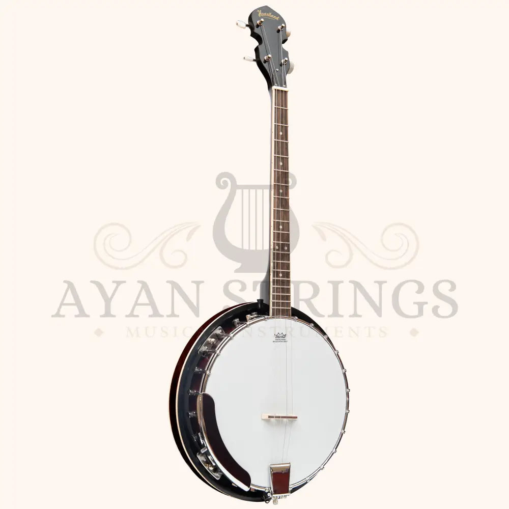 Heartland 4 String Banjo 19 Frets Irish Tenor Banjo 24 Bracket with Closed Solid Back