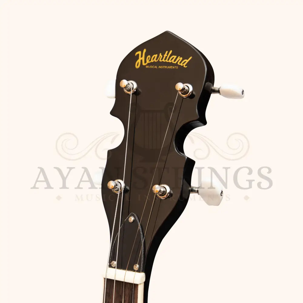 Heartland 4 String Banjo 19 Frets Irish Tenor Banjo 24 Bracket with Closed Solid Back
