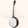 Heartland 4 String Banjo 19 Frets Irish Tenor Banjo 24 Bracket with Closed Solid Back