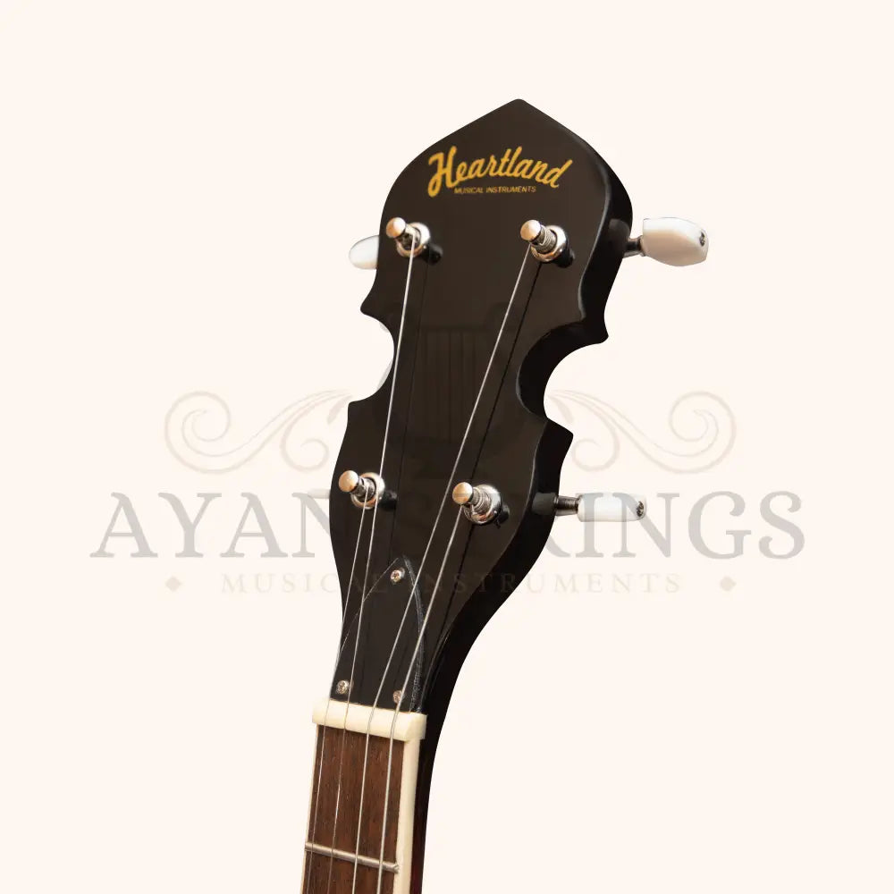 Heartland 4 String Banjo 19 Frets Irish Tenor Banjo Left Handed 24 Bracket With Closed Solid Back - Stringed Instruments