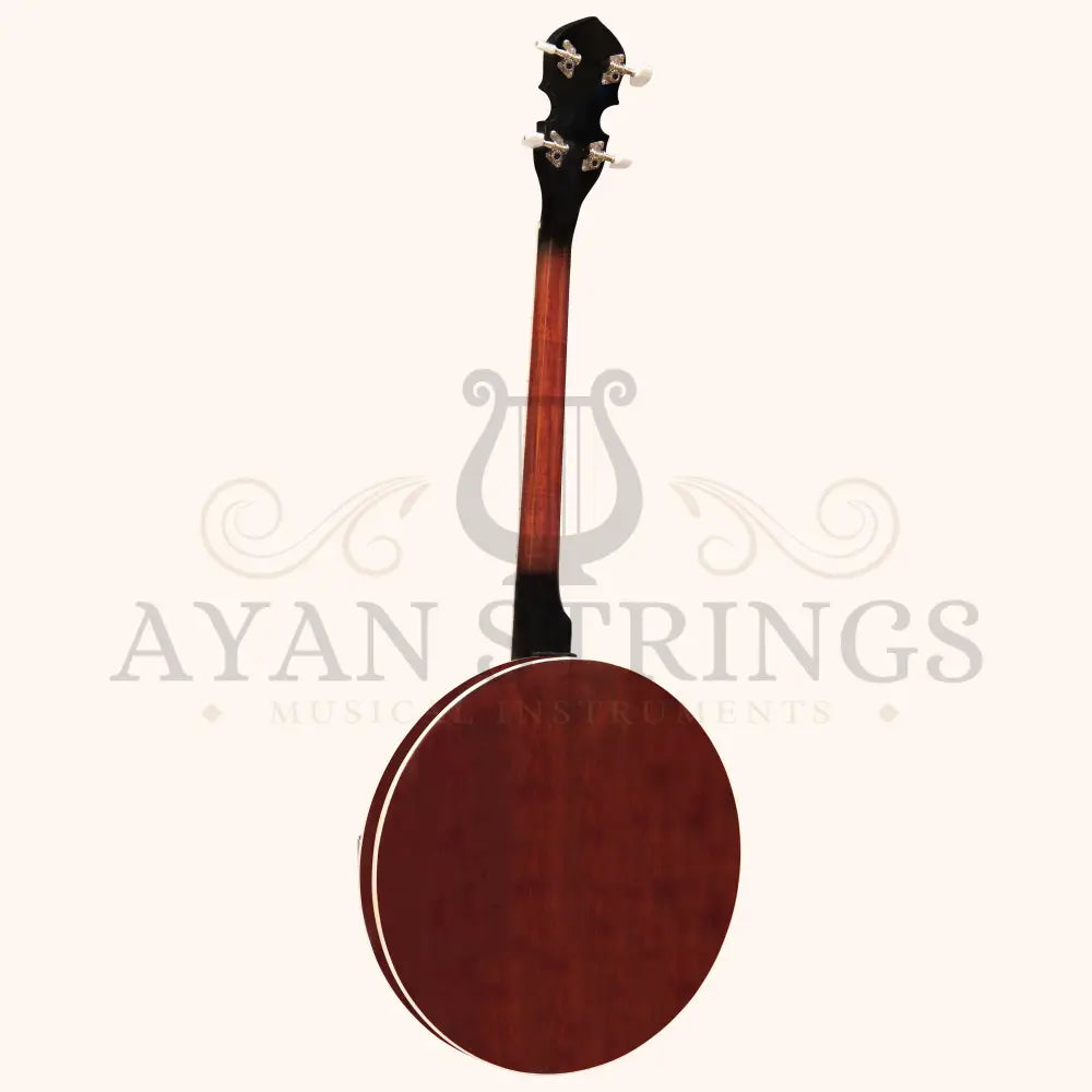 Heartland 4 String Banjo 19 Frets Irish Tenor Banjo Left Handed 24 Bracket With Closed Solid Back - Stringed Instruments