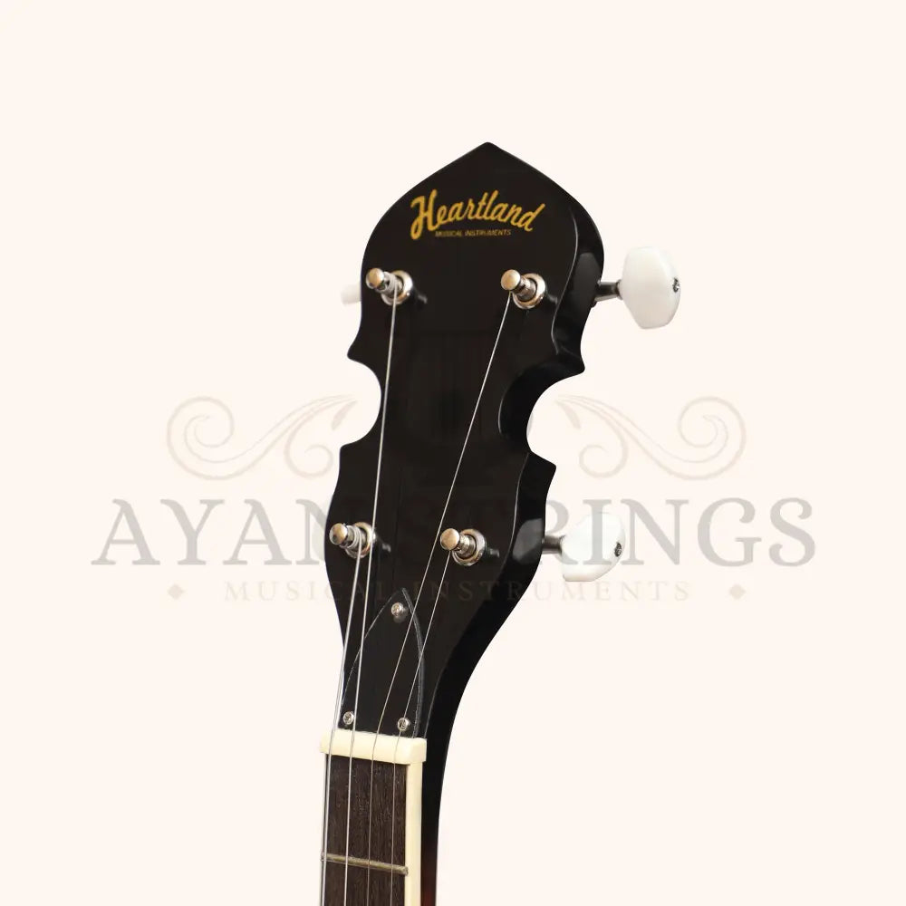 Heartland 4 String Banjo Closed Solid Back 17 Fret 4 String Irish Tenor Banjo Short scale - Stringed Instruments
