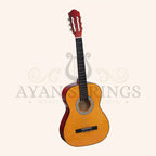 Heartland 4-4 Student Beginners Nylon Classic guitar Burnt Orange - Stringed Instruments