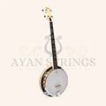 Heartland 5 String Deluxe Irish Banjo 24 Bracket with Closed Solid Back Maple Finish - Stringed Instruments