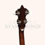 Heartland 5 String Irish Banjo 24 Bracket with Closed Solid Back and Geared 5th Tuner