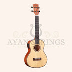 Heartland Concert Ukulele Mahogany with EQ - Stringed Instruments