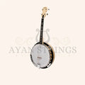 Heartland Deluxe Irish Tenor Banjo 17 Frets with 24 Bracket and Closed Solid Back Maple Finish - Stringed Instruments