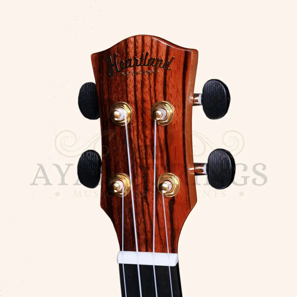 Heartland Festival Concert Ukulele Mahogany Black - Stringed Instruments