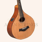 Heartland Irish Bouzouki Deluxe Sapele with EQ Cedar Top - Stringed Instruments