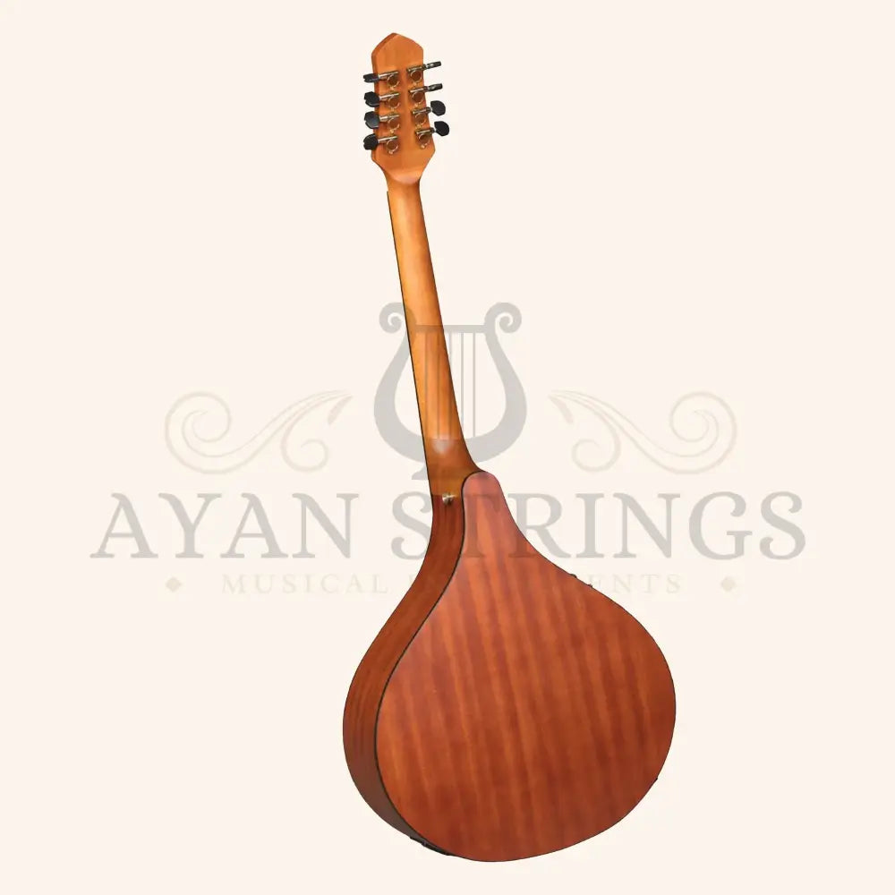 Heartland Irish Bouzouki Deluxe Sapele with EQ Cedar Top - Stringed Instruments