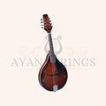 Heartland Mandolin Linden Acoustic Matt Finish - Stringed Instruments