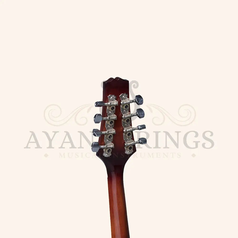 Heartland Mandolin Linden Acoustic Matt Finish - Stringed Instruments