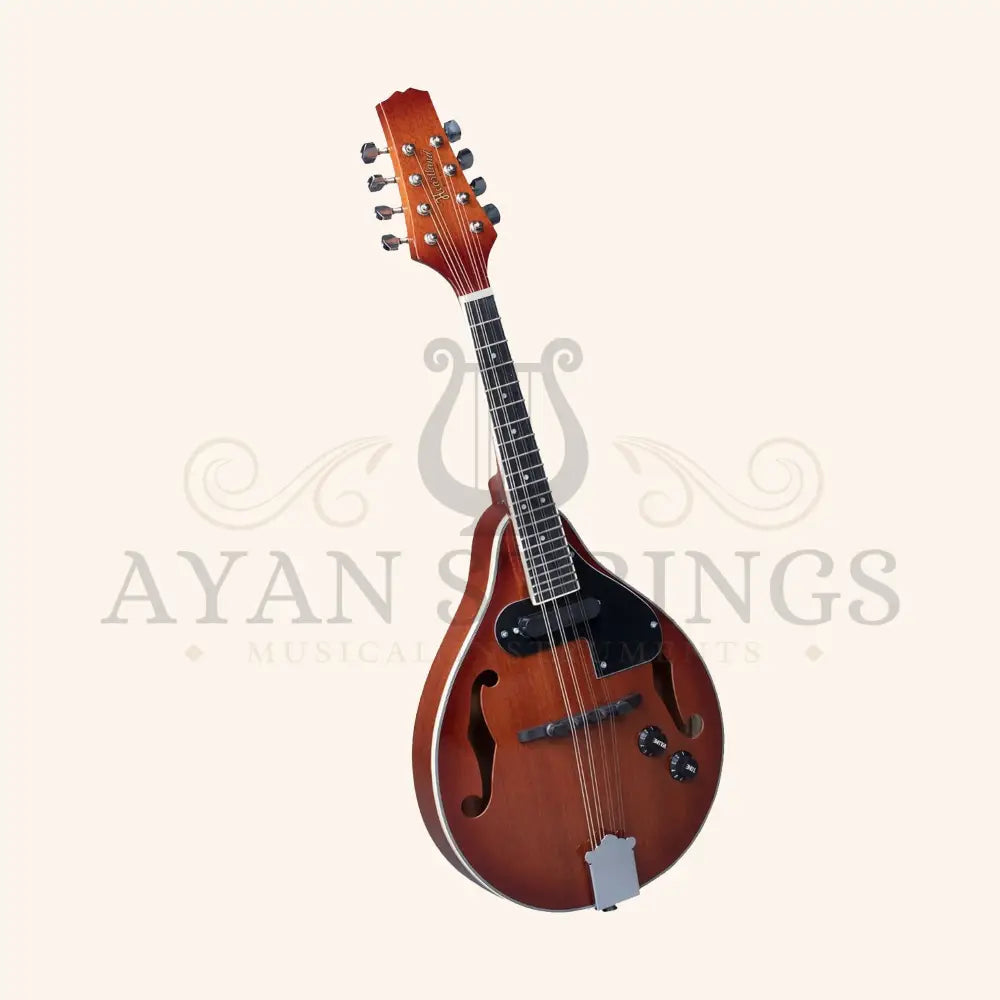 Heartland Mandolin Mahogany Electro Acoustic Gloss Finish - Stringed Instruments