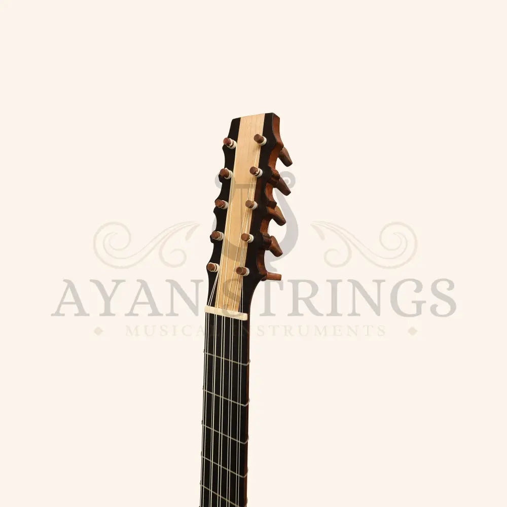 Heartland Sellas Baroque Guitar 5 Course Variegated Walnut Rosewood - Stringed Instruments