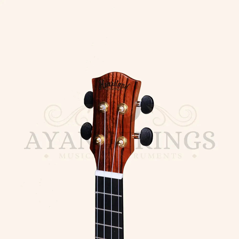Heartland Tenor Ukulele Ebony with EQ - Stringed Instruments