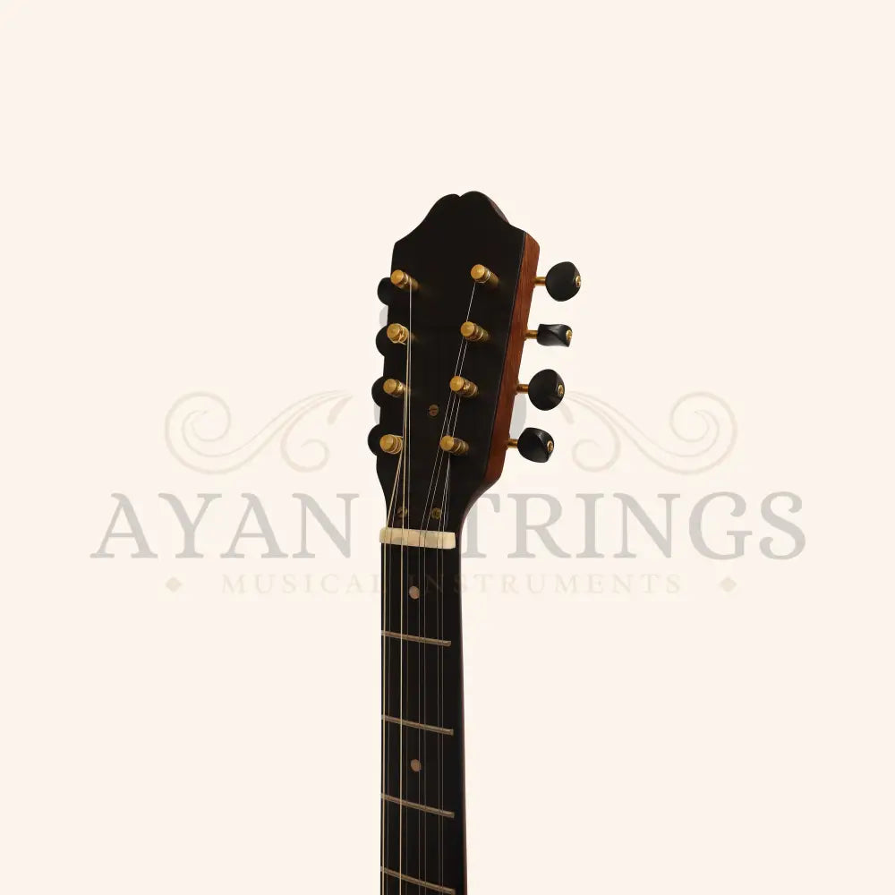 Heartland Traditional Greek Bouzouki Rosewood - Stringed Instruments