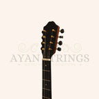 Heartland Traditional Greek Bouzouki Rosewood - Stringed Instruments