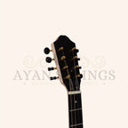 Heartland Traditional Greek Bouzouki variegated Maple Walnut - Stringed Instruments