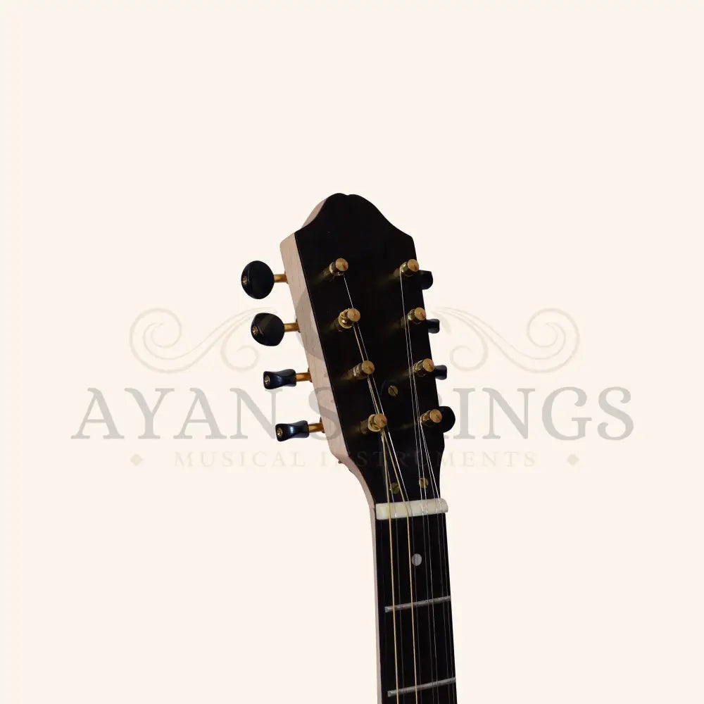 Heartland Traditional Greek Bouzouki variegated Maple Walnut - Stringed Instruments