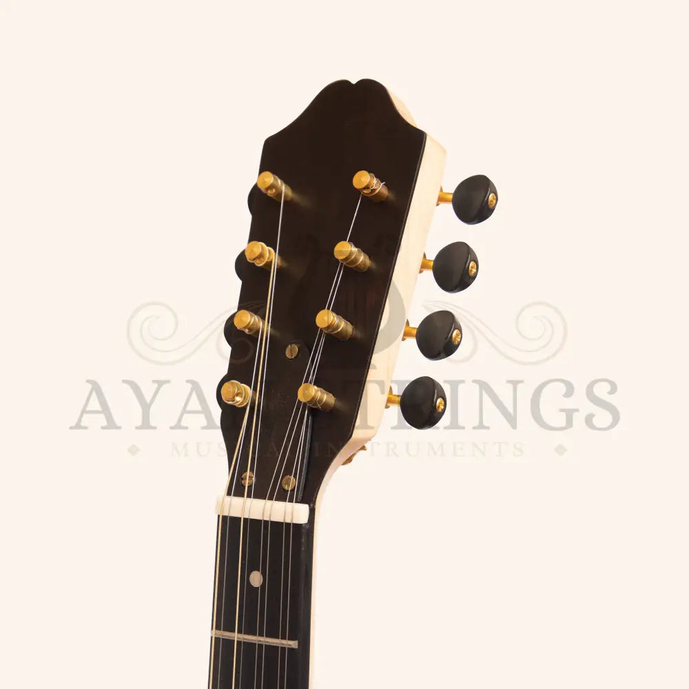 Heartland Traditional Greek Bouzouki Walnut - Stringed Instruments