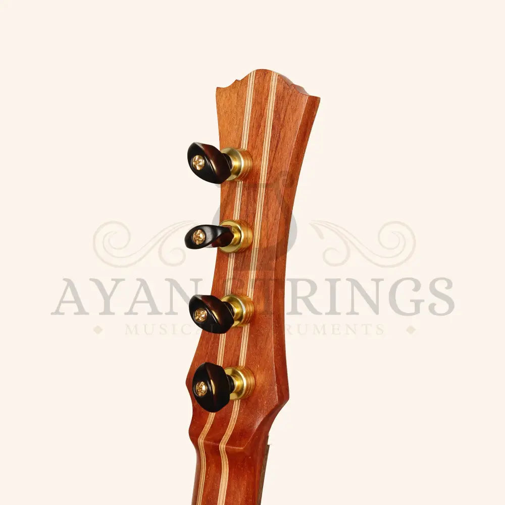 Heartland Trail Dulcimer Banjo 4 String Lacewood - Stringed Instruments