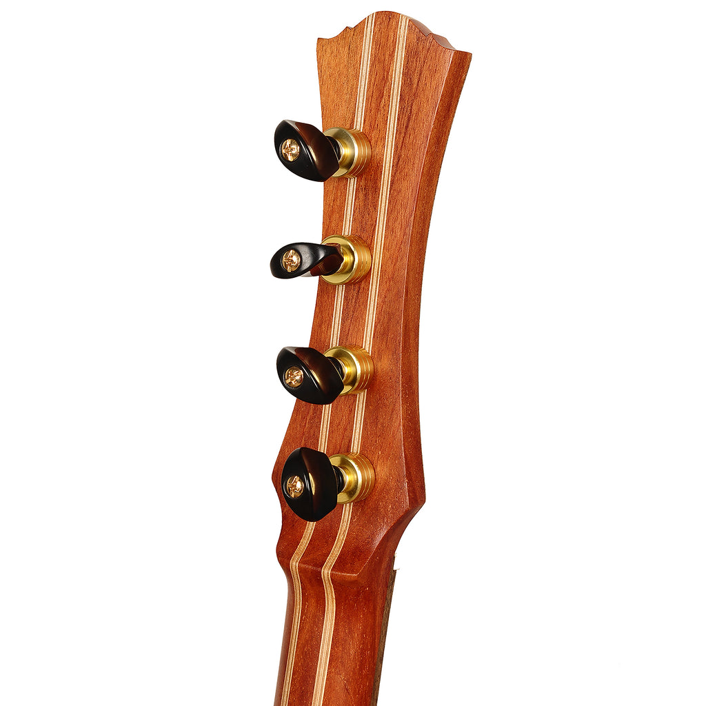 Heartland Trail Dulcimer Banjo, 4 String Lacewood