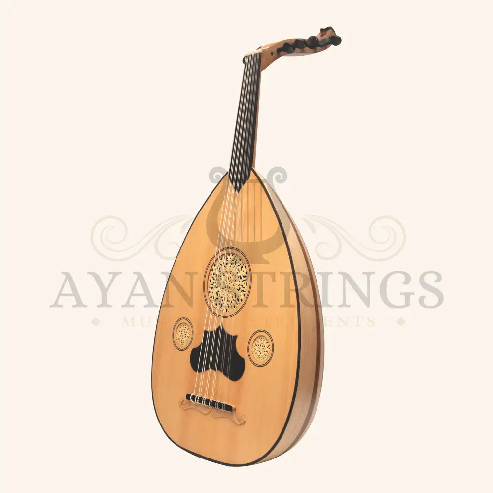 Heartland Turkish Variegated Oud 11 String - Rosewood Lacewood - Stringed Instruments