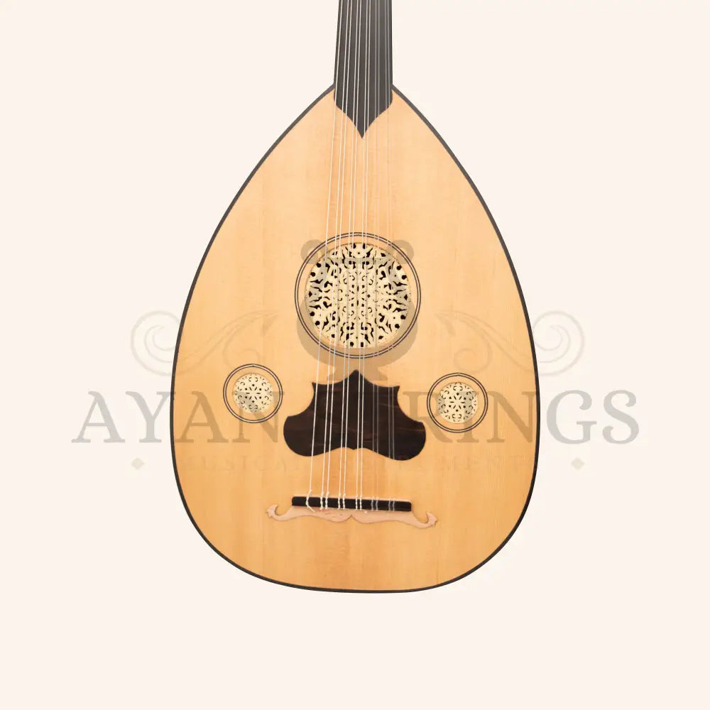 Heartland Turkish Variegated Oud 11 String - Stringed Instruments